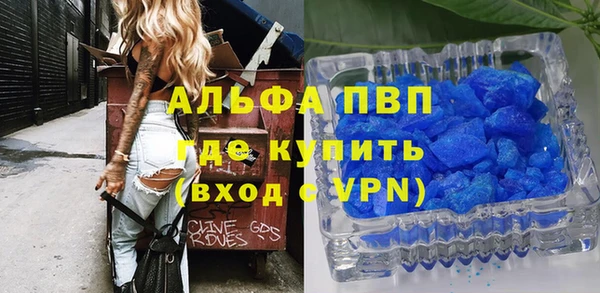 PSILOCYBIN Баксан