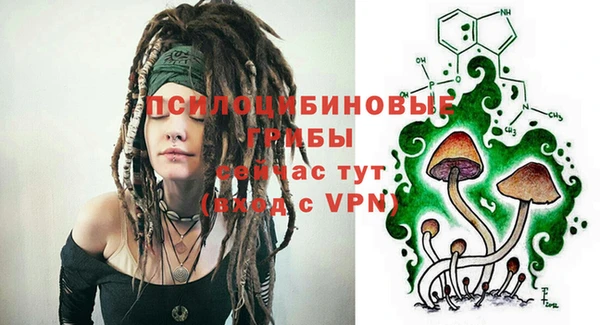 спиды Белокуриха