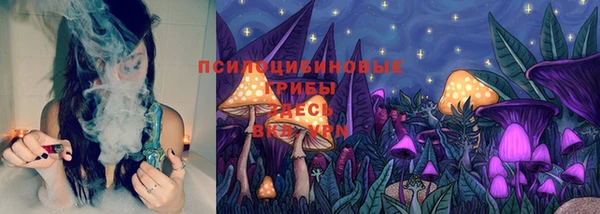 спиды Белоозёрский