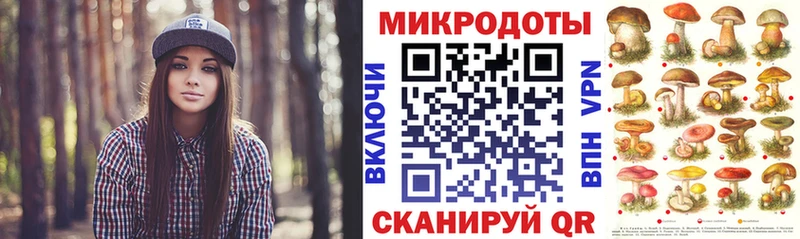 Псилоцибиновые грибы MAGIC MUSHROOMS  хочу наркоту  ссылка на мегу tor  Абакан 